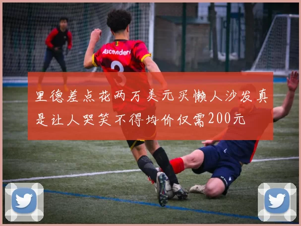 里德差点花两万美元买懒人沙发真是让人哭笑不得均价仅需200元